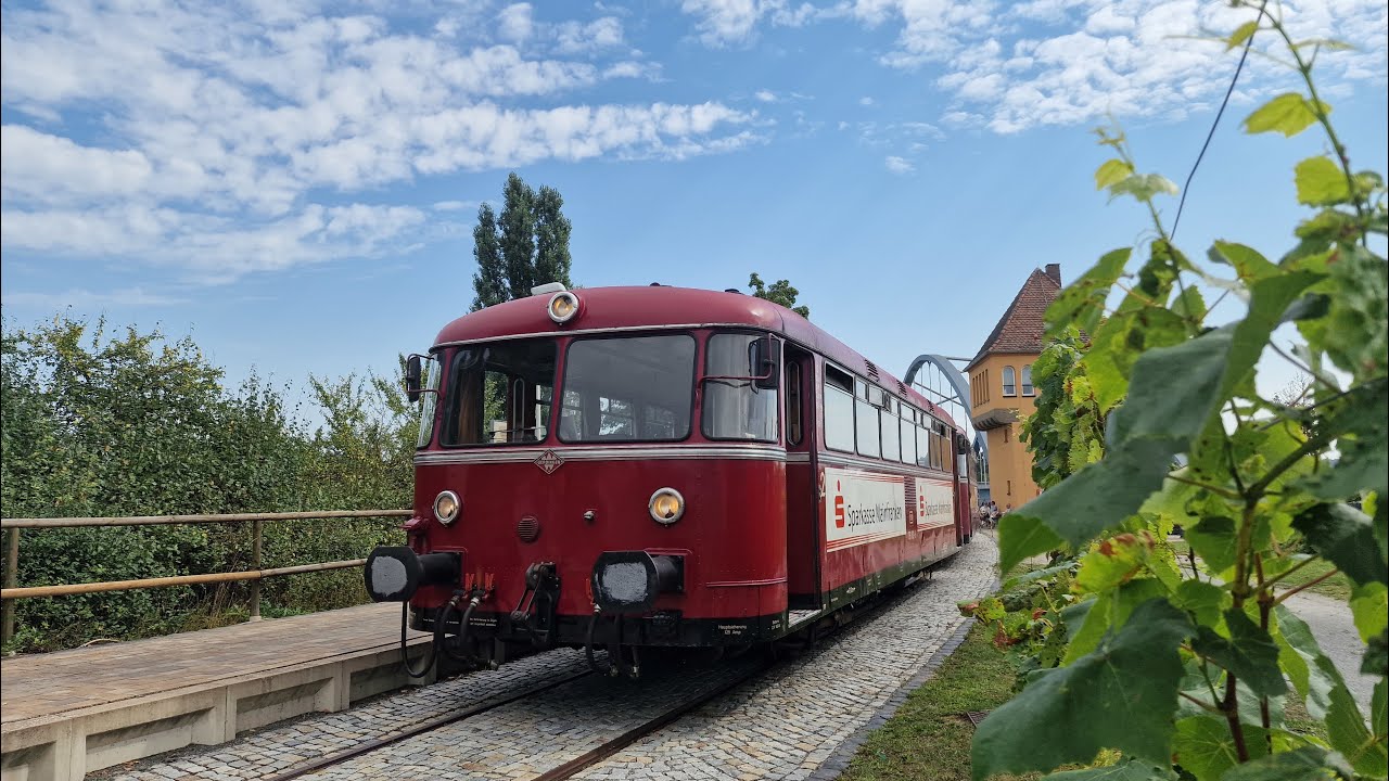 VT98 Mainschleifenbahn Mitfahrt