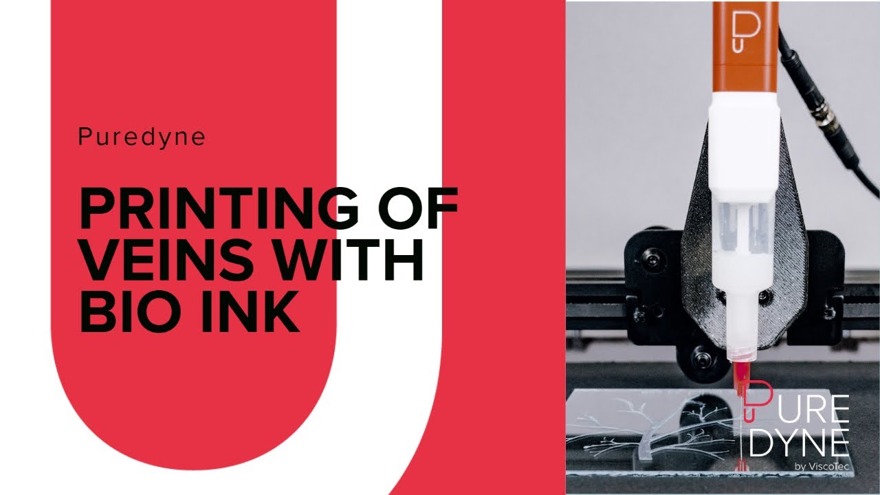 Printing of Veins with Bio Ink