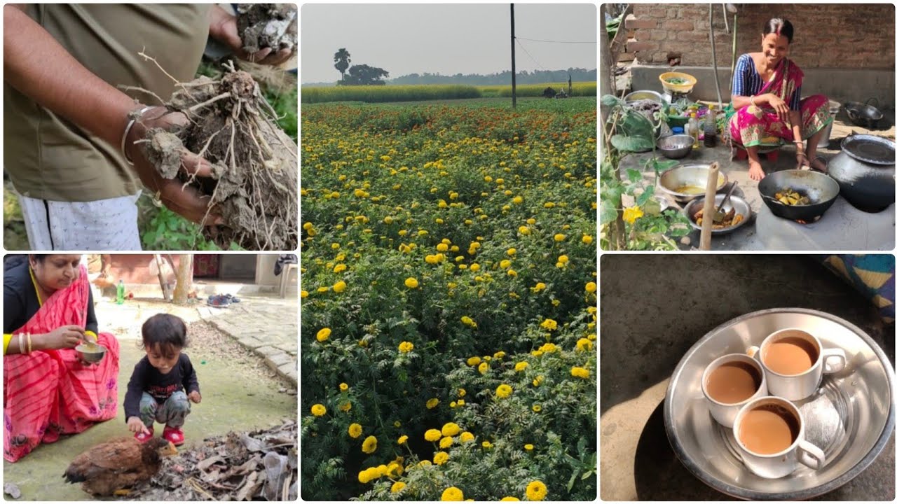 বোনের সাধ এ তো গেলাম কিন্তু এক রাত কাটিয়ে আসলাম আমাদের সেই দেশের বাড়ি।। সারা দিনটা বেশ মজায় কাটলো