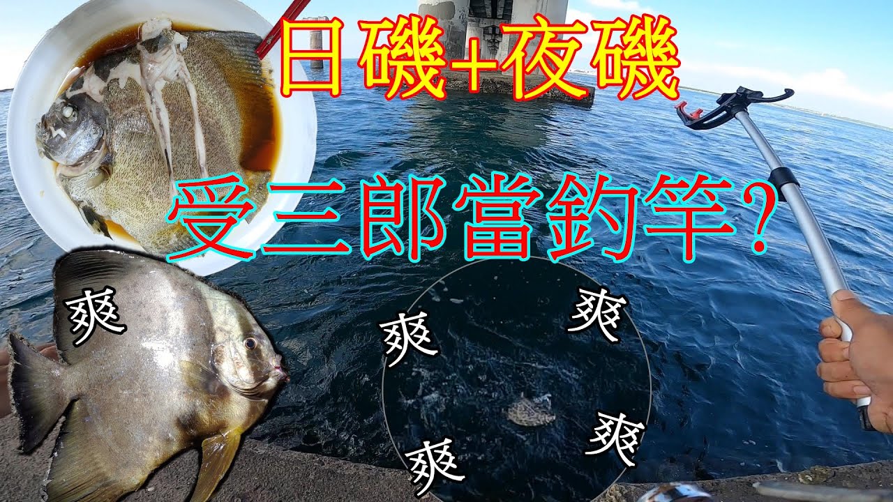 【跨海大橋】釣竿都收了你才來！受三郎當釣竿？！外加屈爪夜磯！【澎湖磯釣】【大緯釣魚趣】
