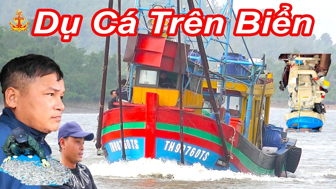 Trải Nghiệm Thức Tế Đánh Bắt Cá Nghề Pha Súc Mũi Của Ngư Dân Lạch Trường - Thanh Hóa