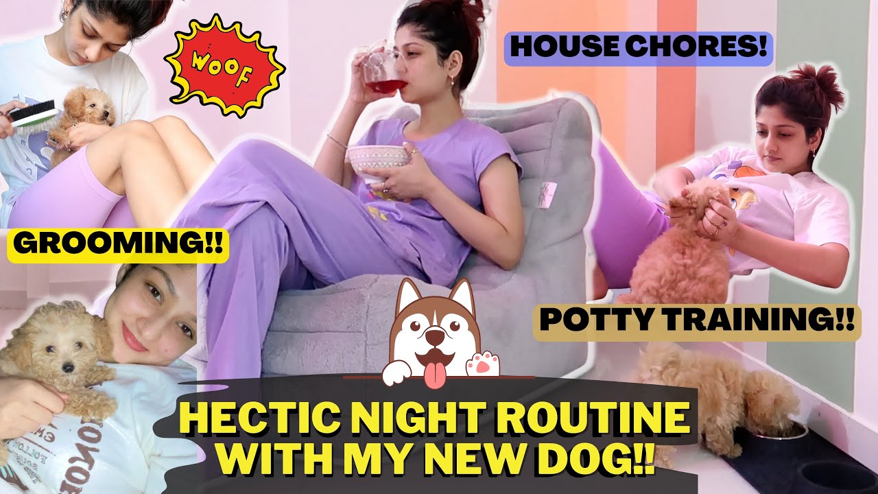 Hectic Night Routine With My New Puppy🐶 | Manasi Mau