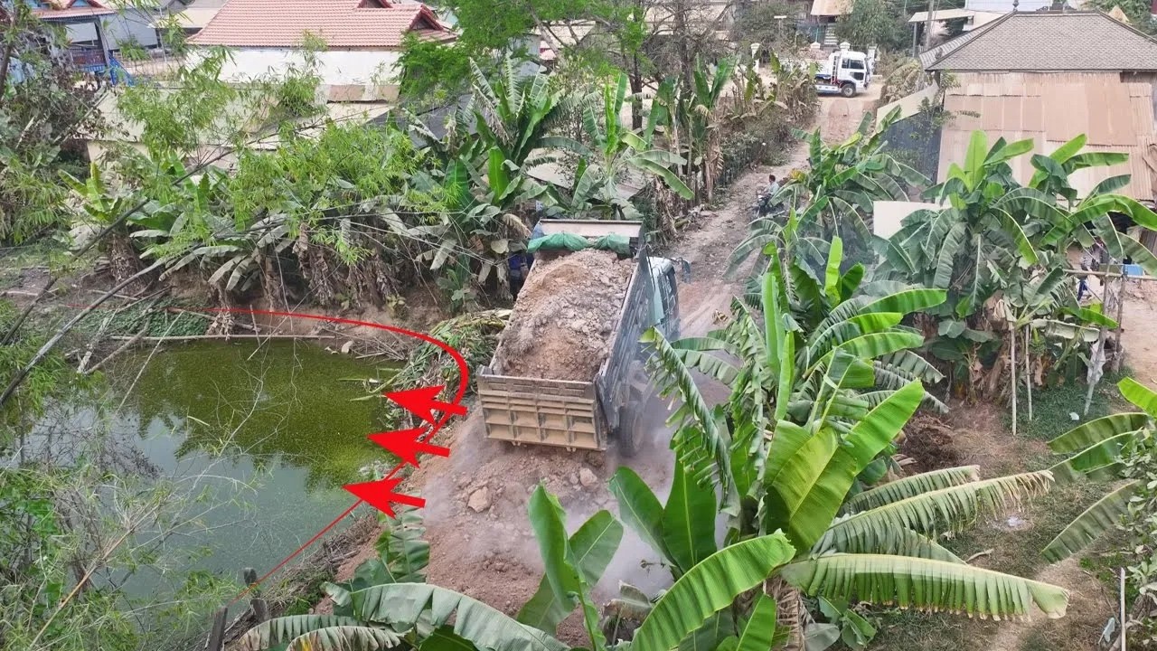 Incredible New Project! 5 Ton Dump Truck Transporting Soil with Mini Bulldozer Support