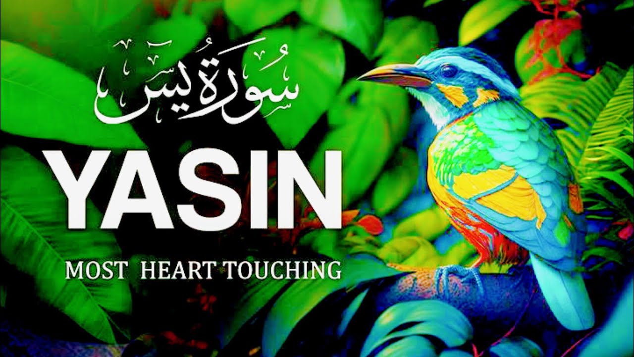 Surah Yaseen | Deep Relaxing Quran Recitation | سورة یٰسین | دارالقراء 🌙🎧