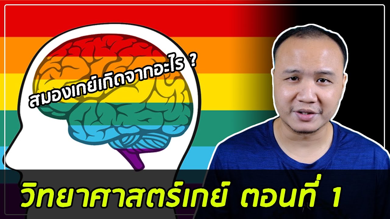 วิทยาศาสตร์เกย์ ตอนที่ 1 : Fraternal birth order effect และสมองของเกย์
