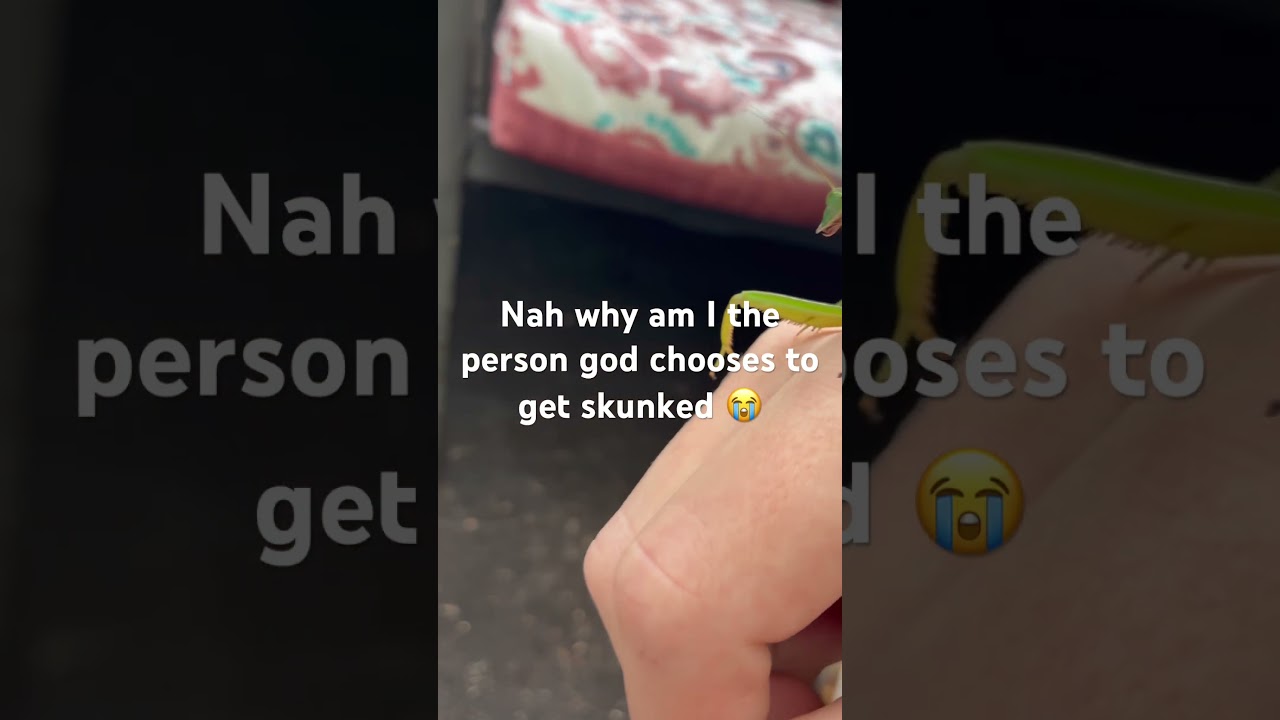 Whyyy 