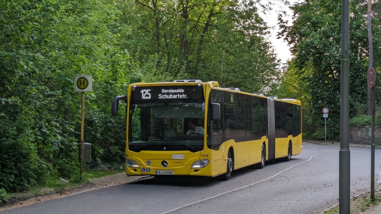 Berlin Bus|Aussetzermitfahrt #13 auf dem 125 von Invalidensiedlung bis Schubartstraße