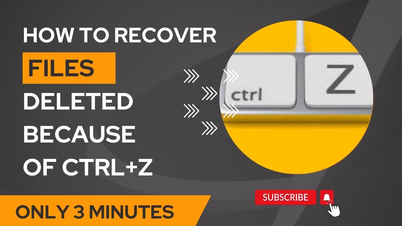 Recover Files Lost, Deleted because of Ctrl + Z |Completed Work Was Undone & unable to Redo Solution