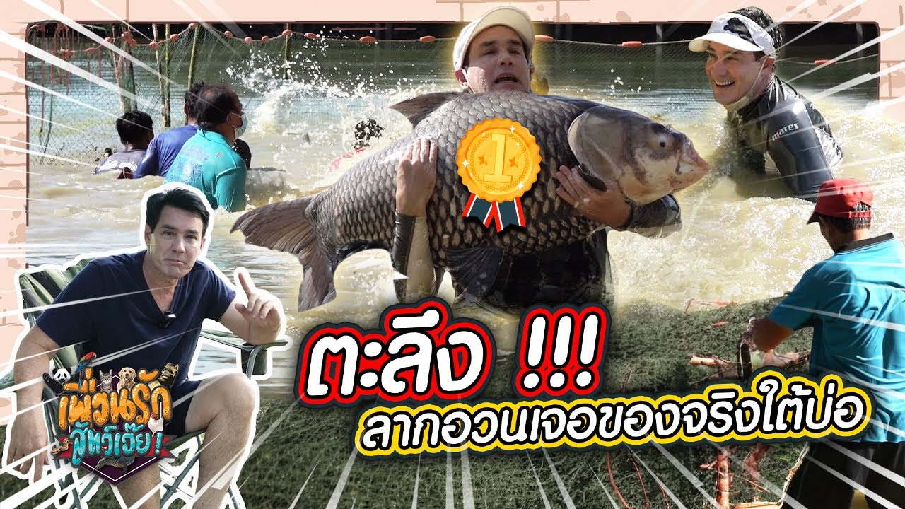 อยากได้ปลากระโห้ ก็ต้องไปจับเองสิ  (Rerun) I เพื่อนรักสัตว์เอ๊ย