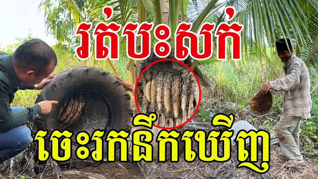 ឆ្លាតមែនបង ចេះរកនឹកឃេីញ​ ស្មានថាចិញ្ចឹមយកទឹក
