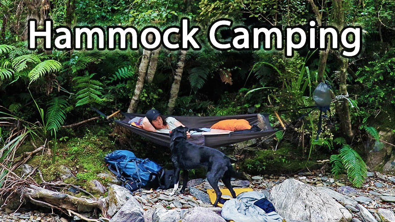 HAMMOCK camping with my DOG- perfect spot by a RIVER