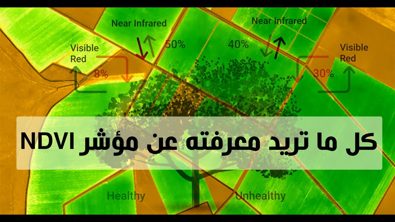 Remote Sensing | كل ما تريد معرفته وأكثر عن مؤشر الغطاء النباتي NDVI