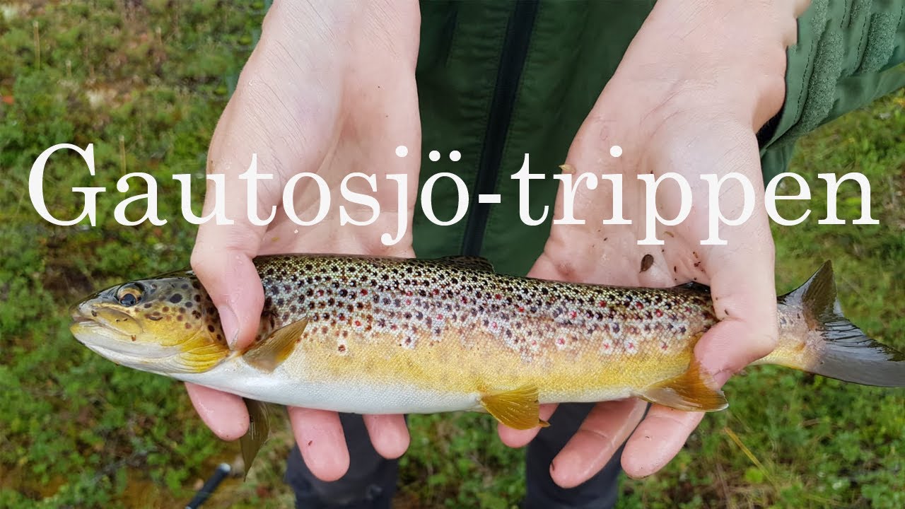 Gautosjö-trippen - FJÄLLFISKE efter Öring