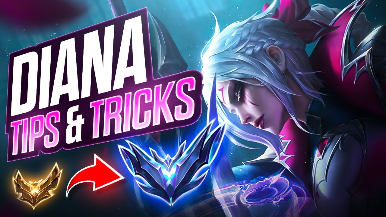 Diana Jungle Guide | How to Climb with Diana Jungle