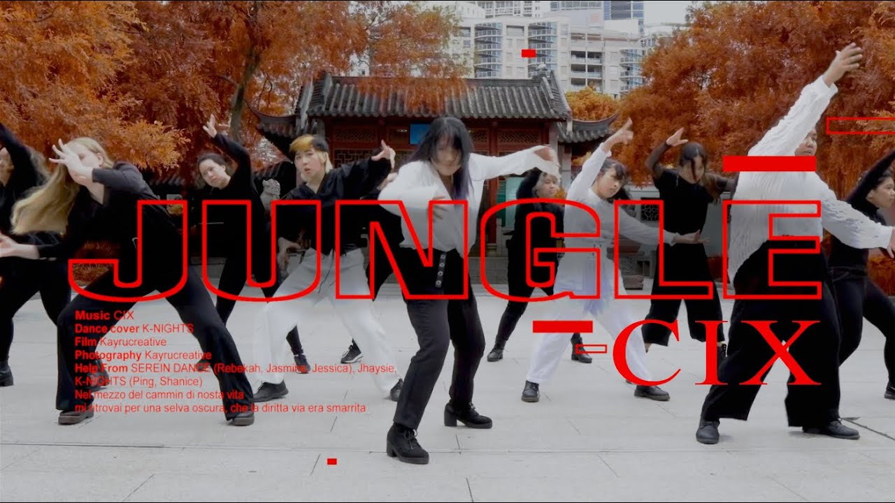 [KPOP IN PUBLIC] CIX (씨아이엑스) - JUNGLE (정글) DANCE COVER BY K-NIGHTS
