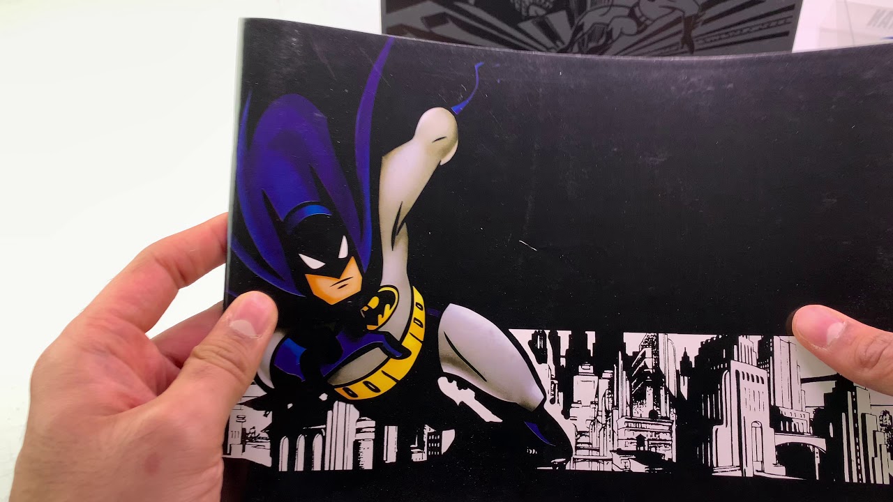 Batman The Complete Animated Series Unboxing and Review (FAKE)