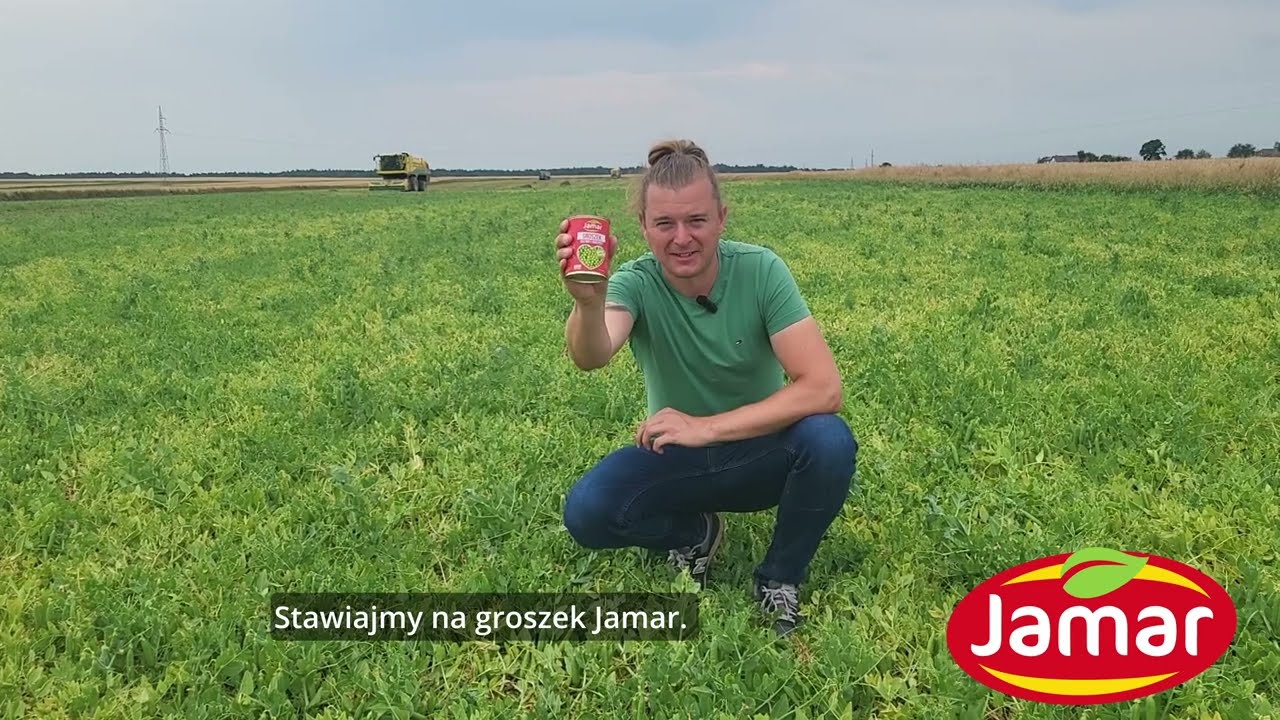 Maciej Wita z pola groszku! KAMPANIA GROSZKOWA 2023