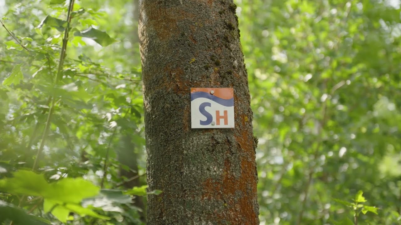Wandern auf der SaaleHorizontale &ndash; Deutschlands Sch&ouml;nster Wanderweg 2023