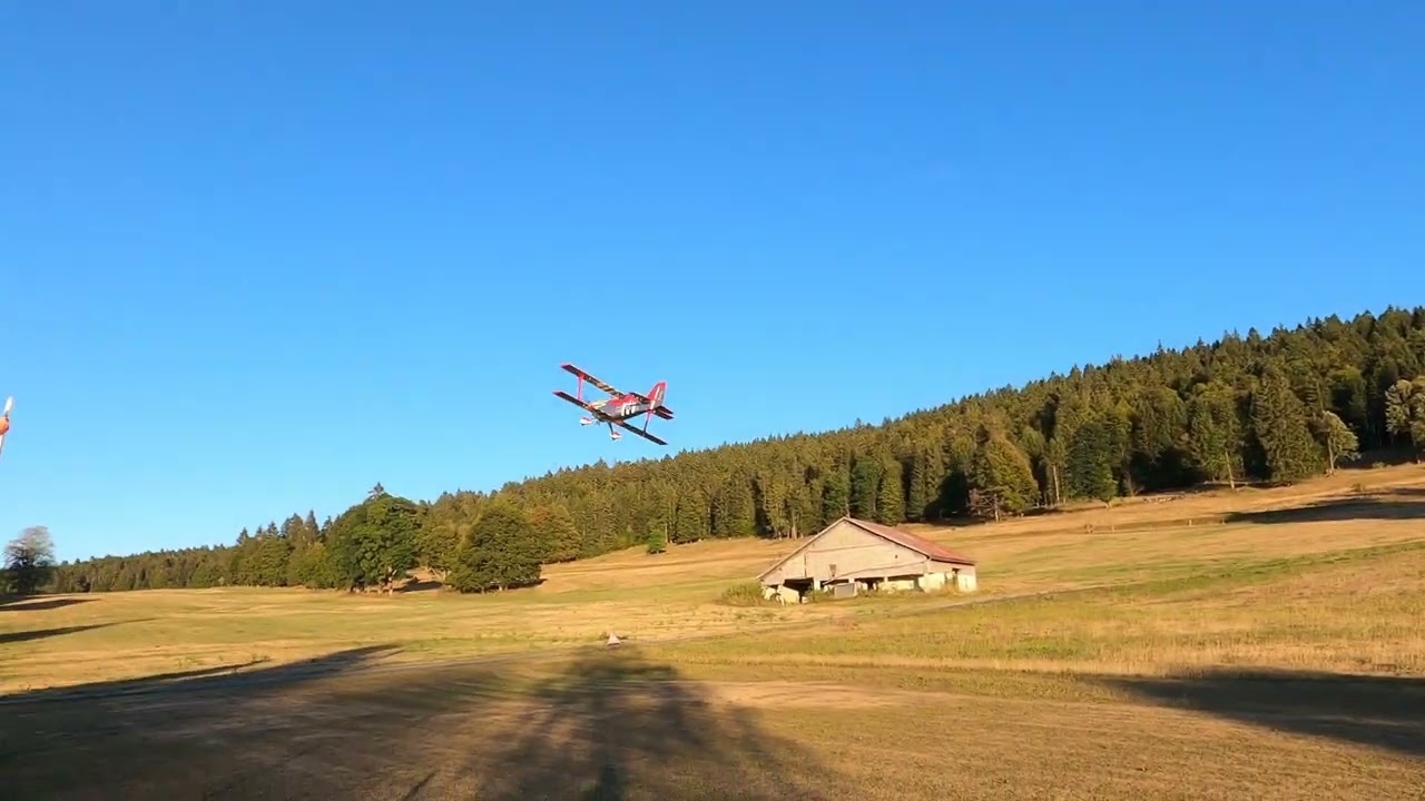 Pitts pilot RC Fiala 210 Falcon David Perrin