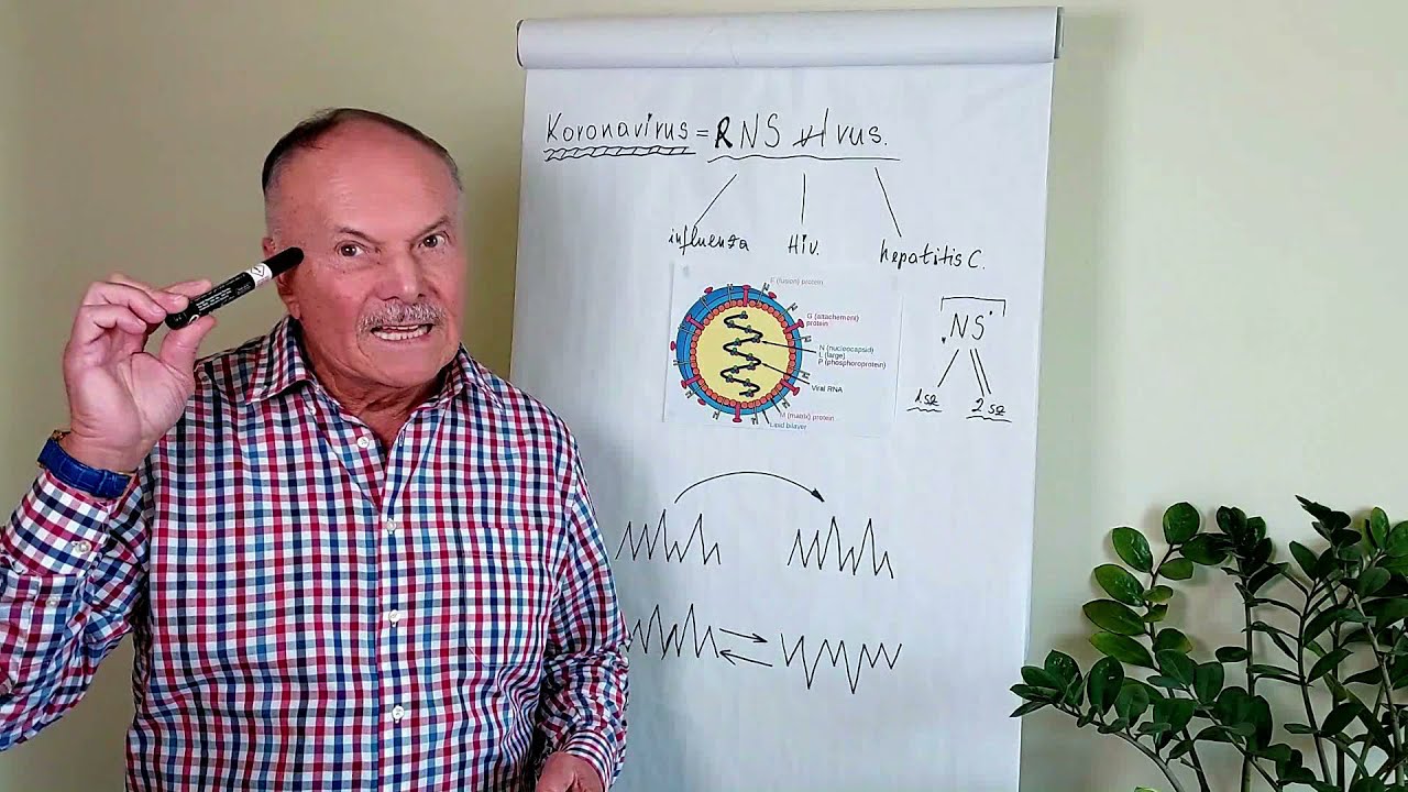 Immunit&aacute;s minden szinten
