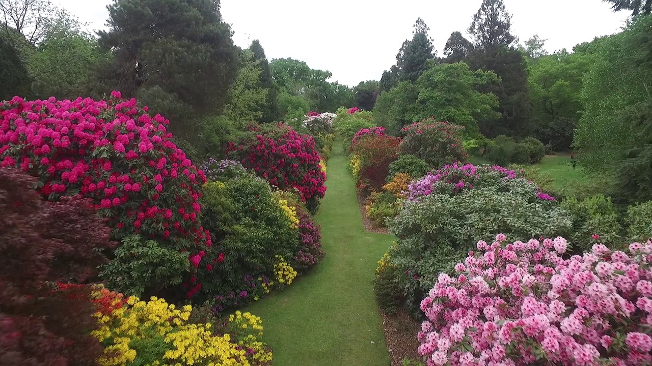 Stody Lodge Gardens