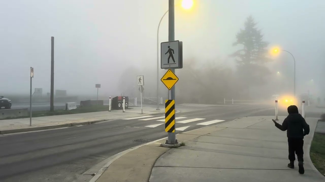 Life in Canada 🌫️ Walking with My Child #Family #Nature #Canada