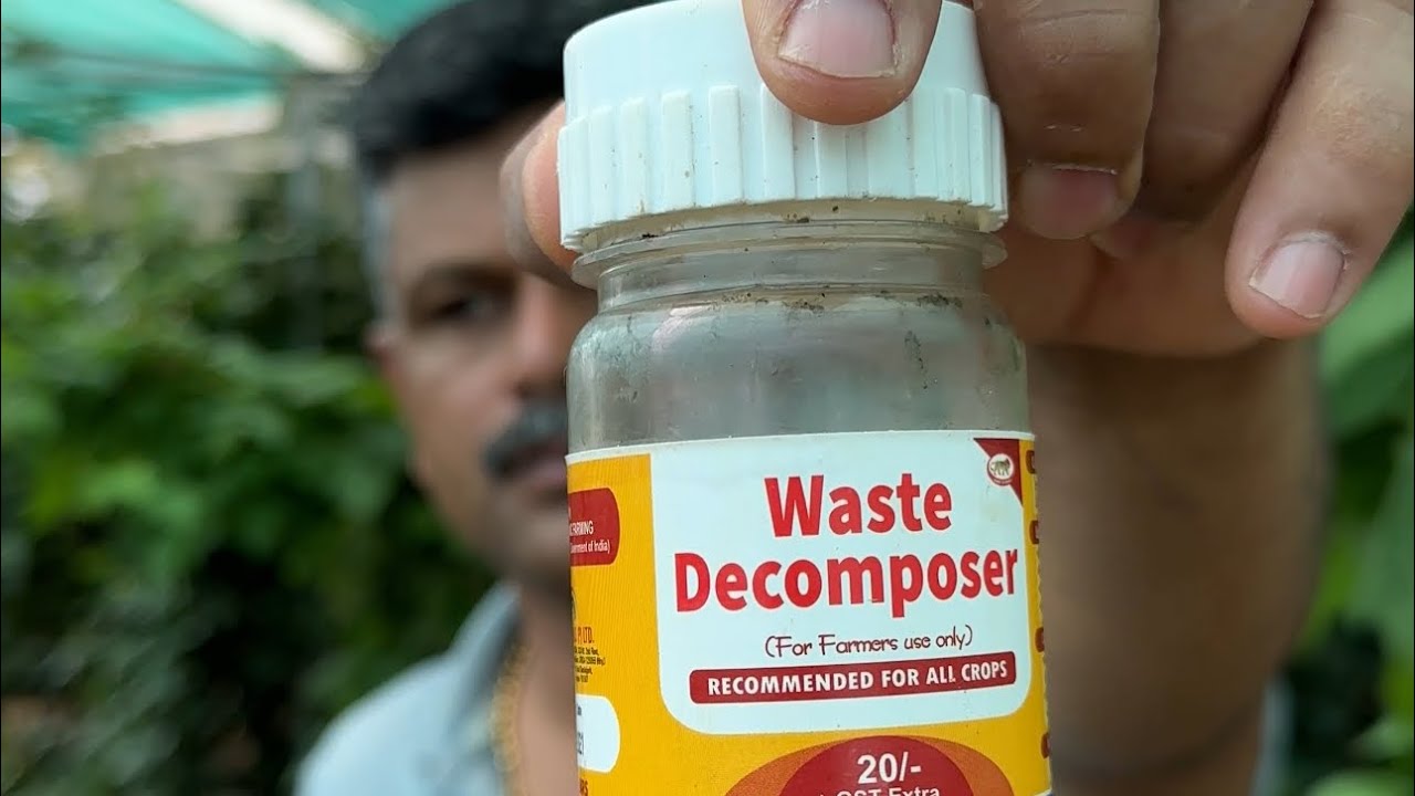 വെറും 50 രൂപ മുടക്കിയാൽ നിങ്ങളുടെ പഴചെടികളും ഇതുപോലെ വളരും... കായ്‌ഫലങ്ങൾ കൂടും..... 👍