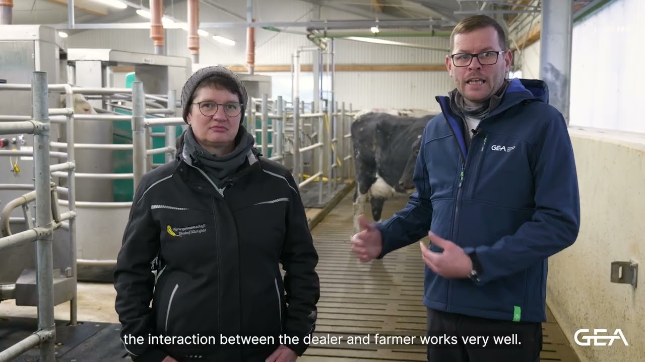 Batch Milking with GEA: Efficiency through partnership 🤝