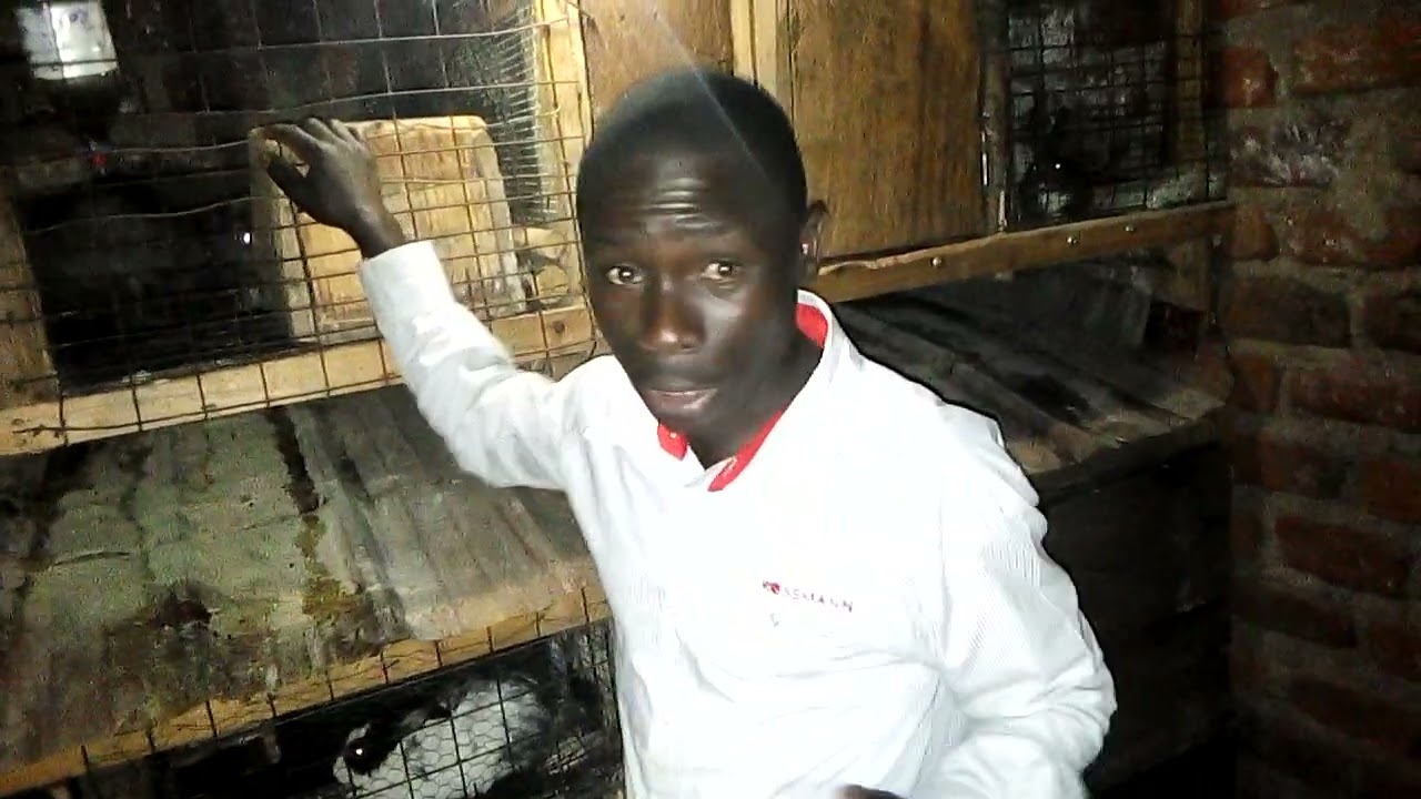 Rabbit farming in UGANDA:okulunda obumyu mulimu part one (1)# rabbit farming in Uganda