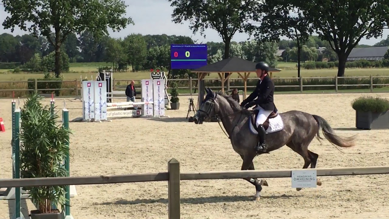“SOLD” 4yo mare by Emir