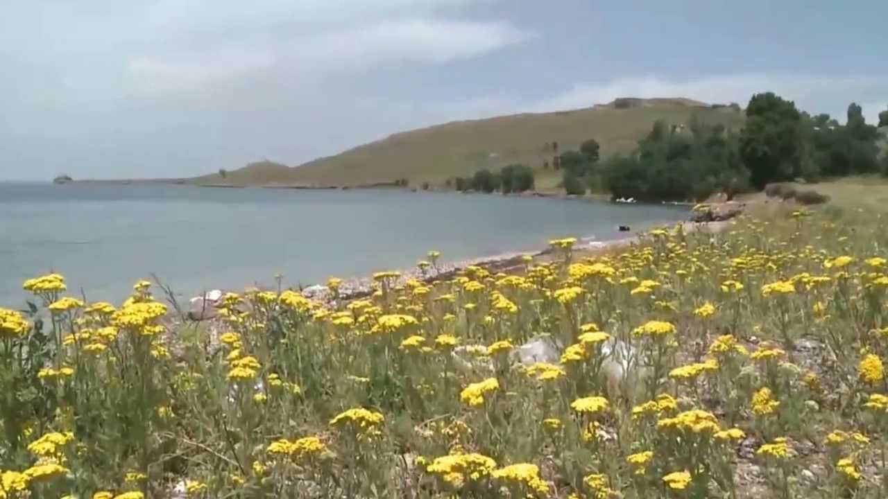 Tatvan Reşadiye (Sorp) Köyü