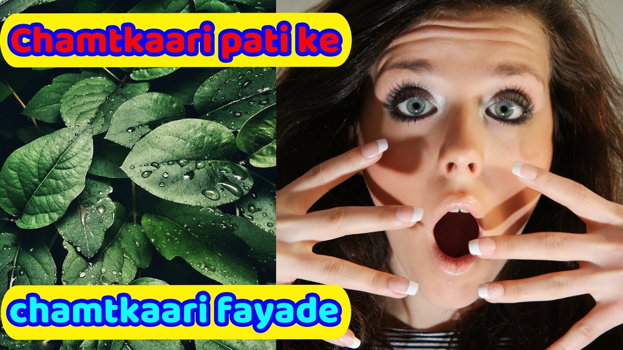 how many curry leaves to eat per day ! benefits of curry leaves ! curry leaves juice and nutrition