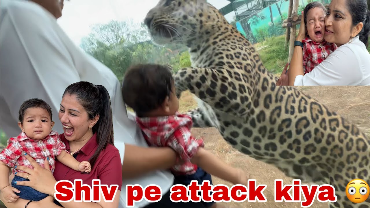OMG 😳 Jungle safari me kya hua ajj . Shiv pe kyu attack kiya ??