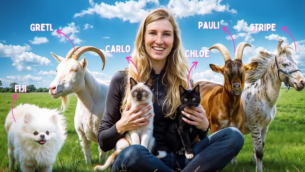 VORSTELLUNGSRUNDE meiner ganzen TIERE 😍❤️ ( fast ein ganzer ZOO😨)
