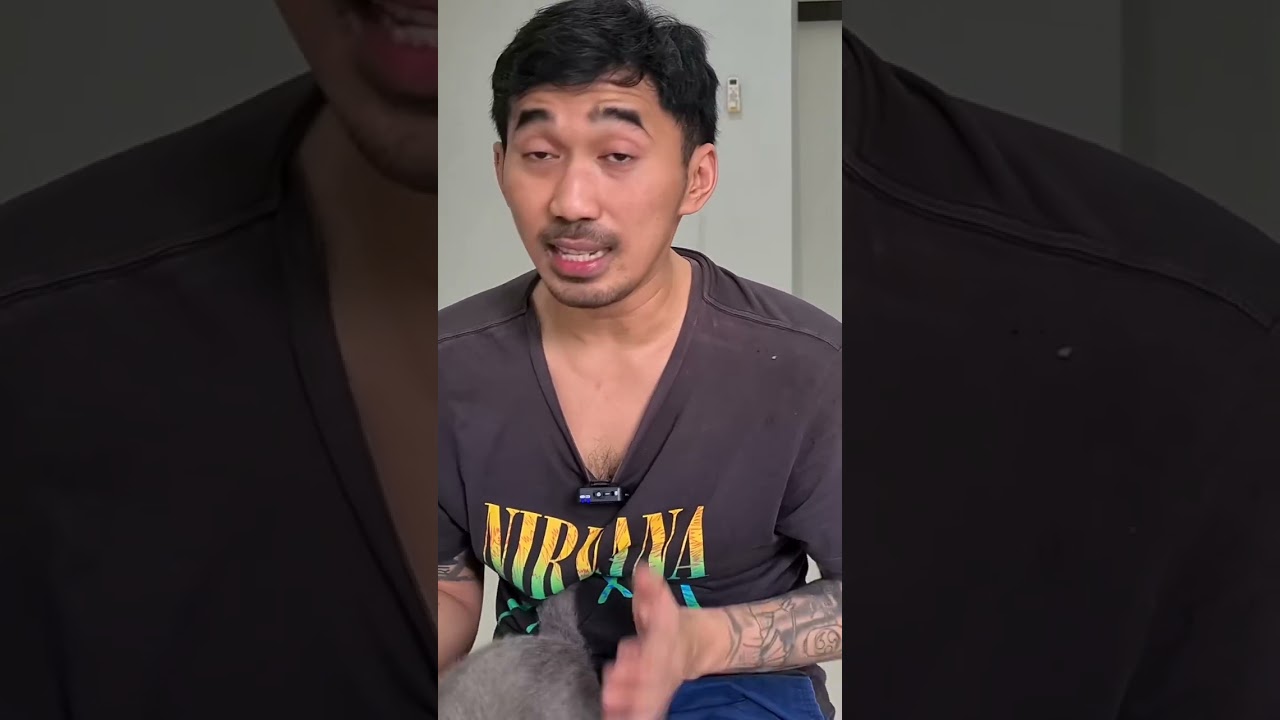 Penyebab kucing flu berat & pilek susah sembuh.