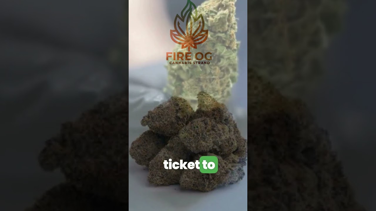 Unleash the Power of Fire OG by Cannfield International: The Ultimate Premium Cannabis Experience!