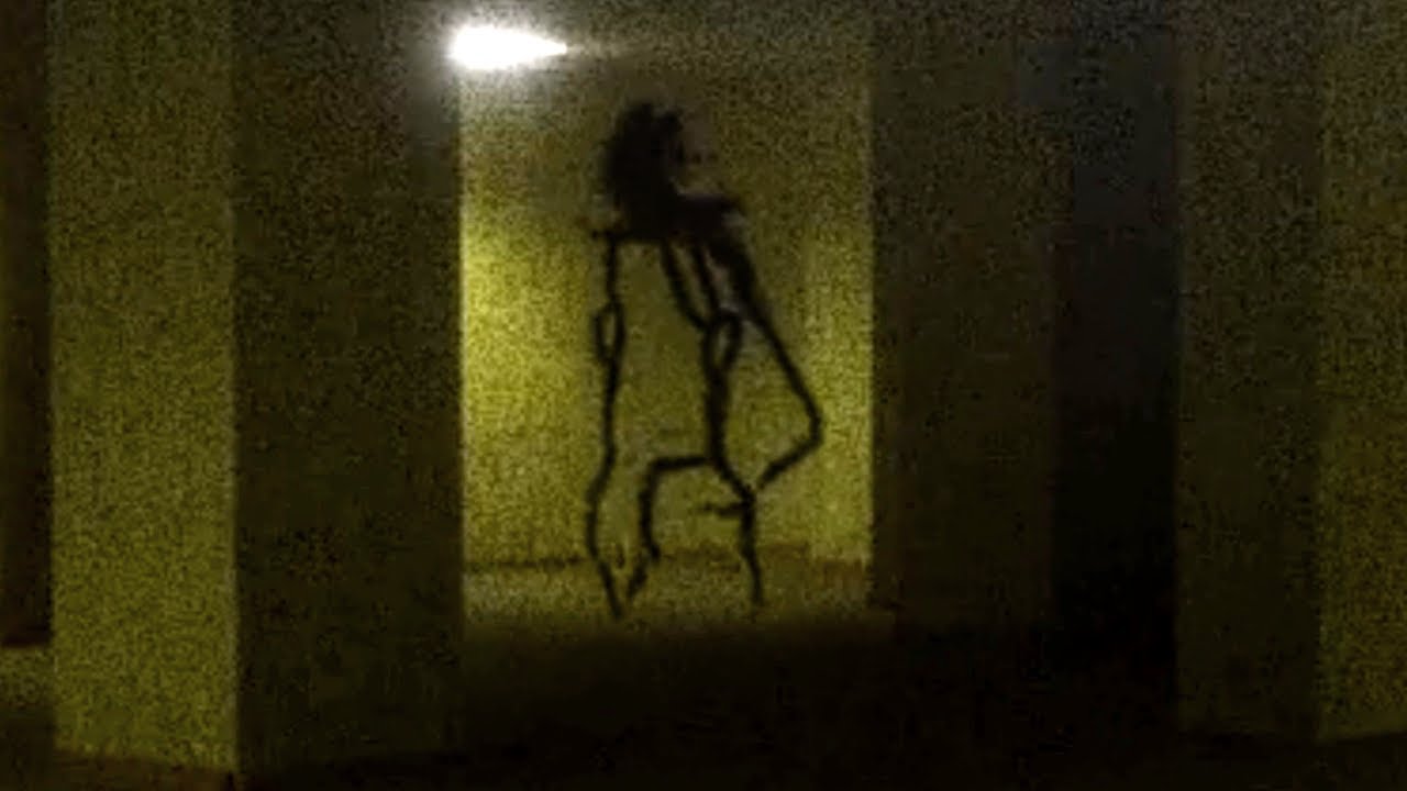 CHASED THROUGH THE BACKROOMS | Dream Logic
