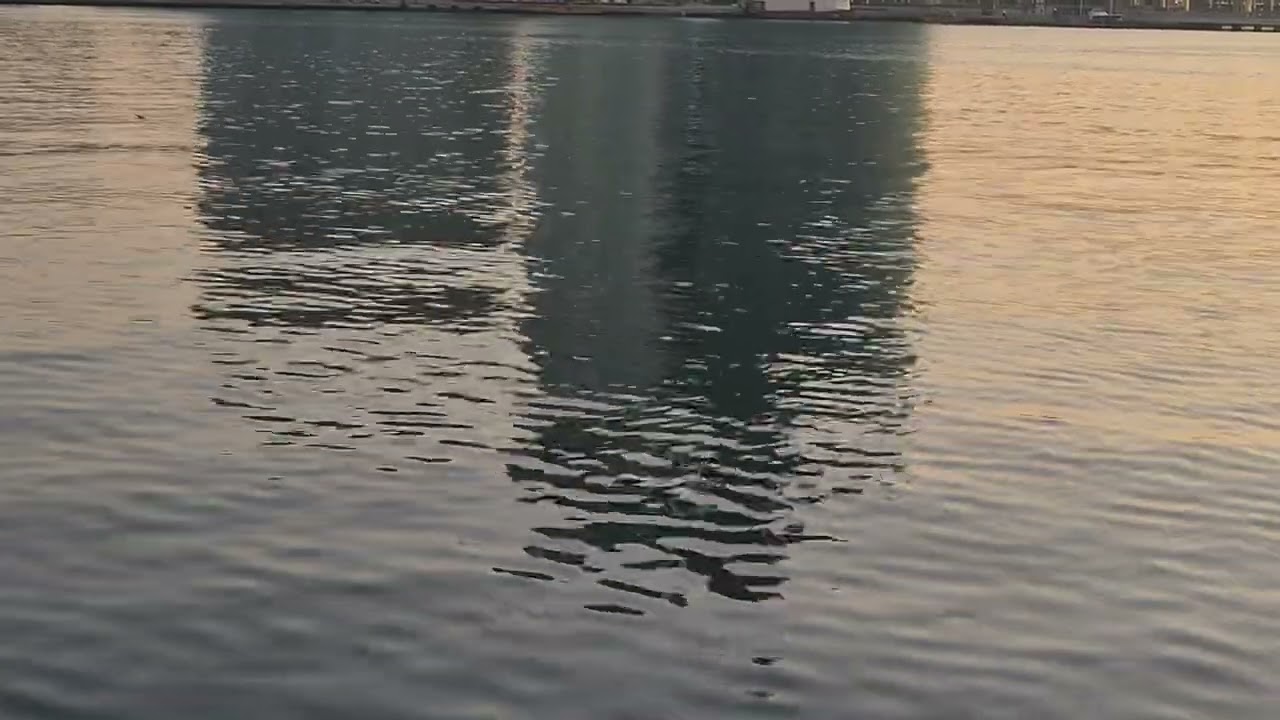 وقت البكور احلى وقت للفطور ... للسمك و الطيور 