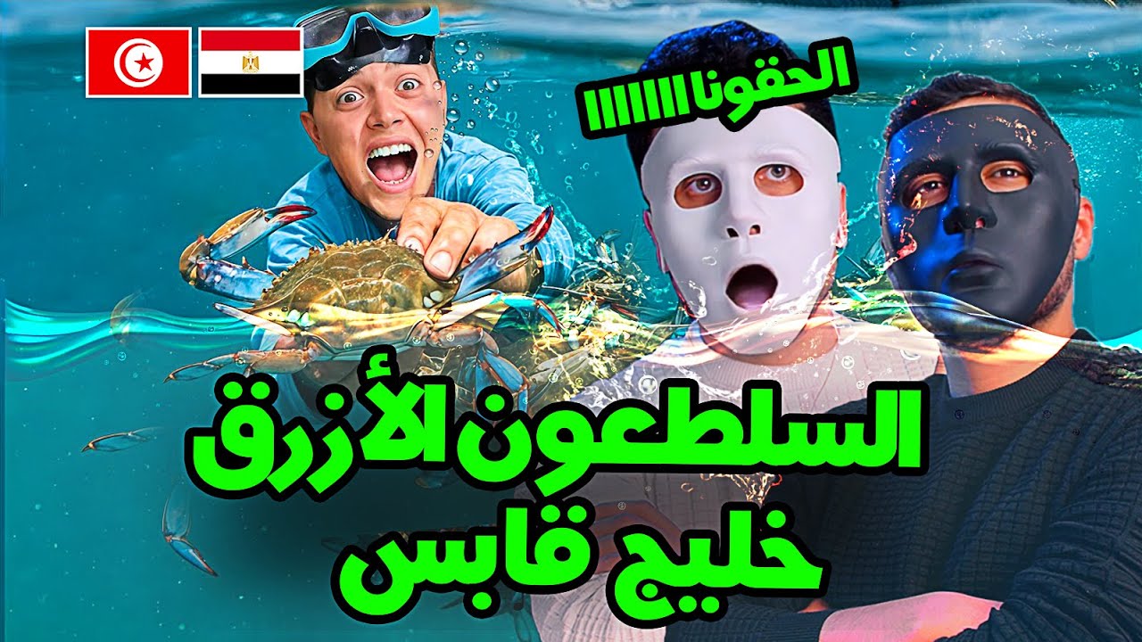رحلة إلى أعماق خليج 