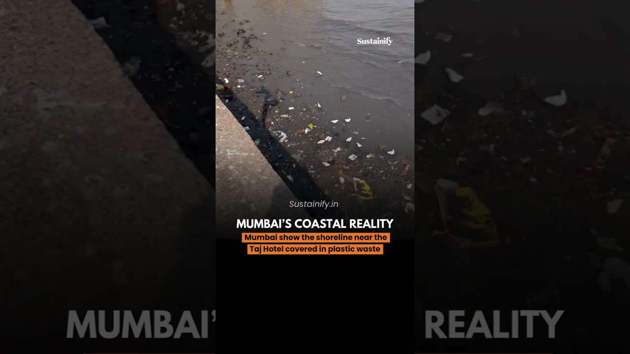 Mumbai&rsquo;s Iconic Taj Hotel, But a Troubling Shoreline  #civicsense #news #cleanindia #indiareality