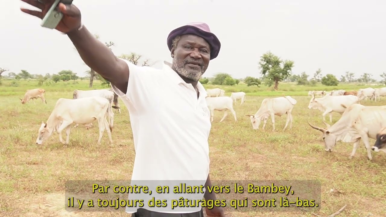 Diohine, une jachère apaisée - épisode 1 : l'abondance