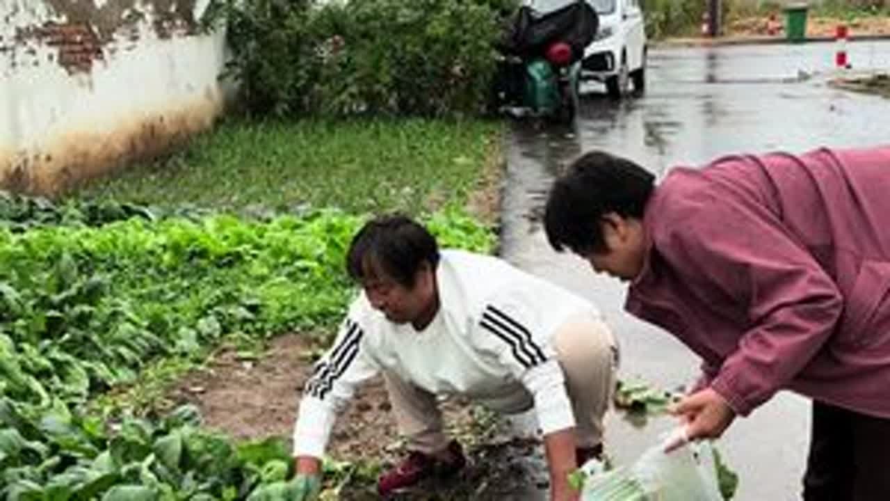 #记录我的农村生活 #记录真实生活 #在娘家的日子