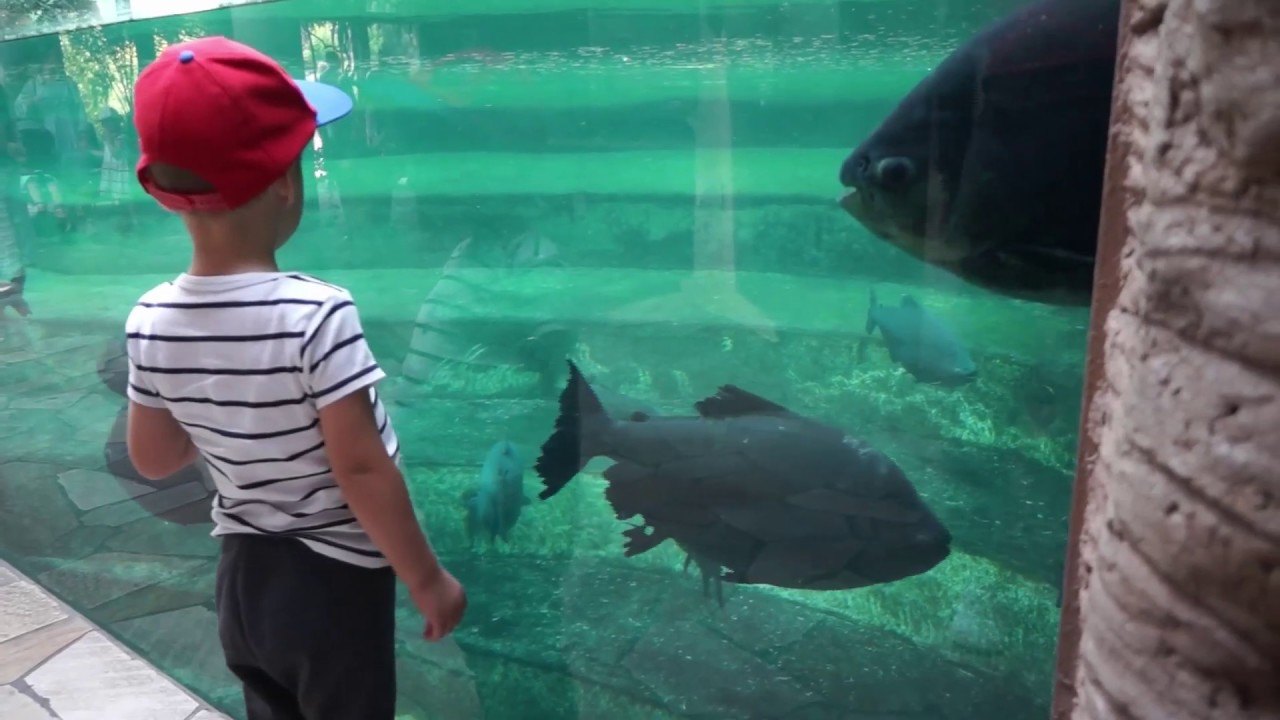 Warsaw zoo