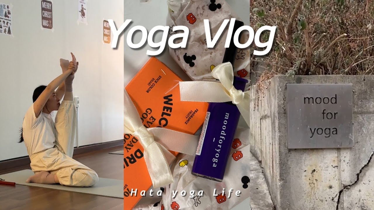 [vlog] 무드의 인연, 사랑하는 나의 요가 친구들과 함께 수련하기 | 과천요가 | 과천무드포요가 | 충주요가 | 충주요가온유 | 진천요가 | 진천스와스티 | 요가브이로그 |