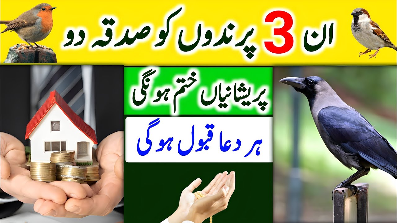 Parindo Ke 3 Sadqe | Dolat Rizq Barkat Main Izafa | Har Dua Qabool | Hania Urdu Stories