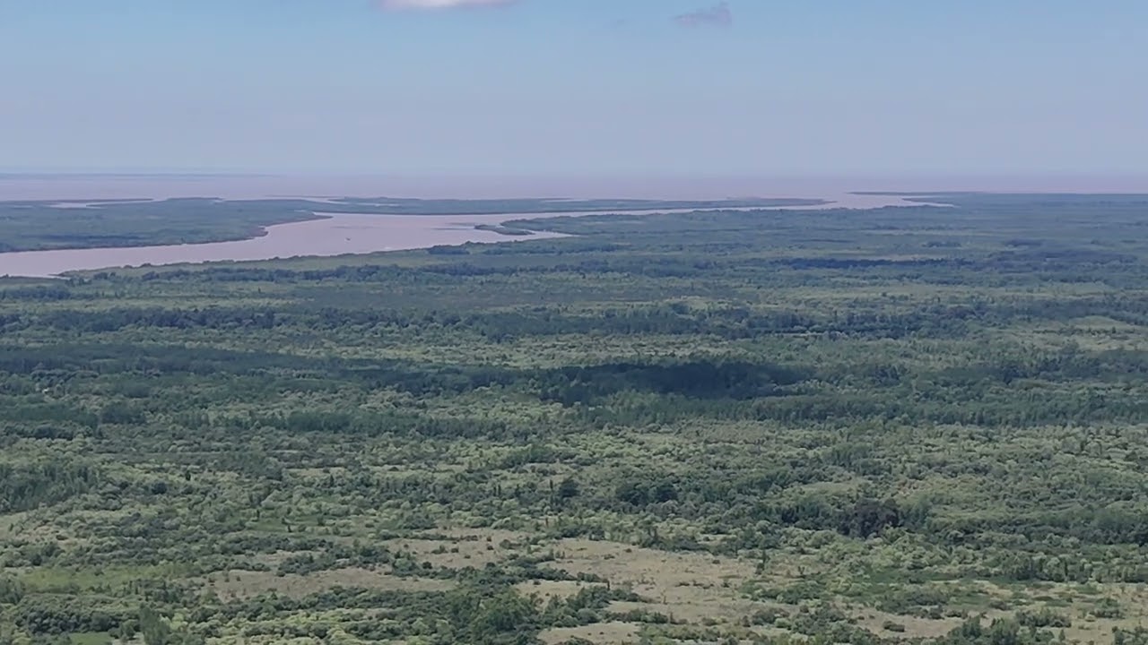 Río Carapachay y Parana De Las Palmas 