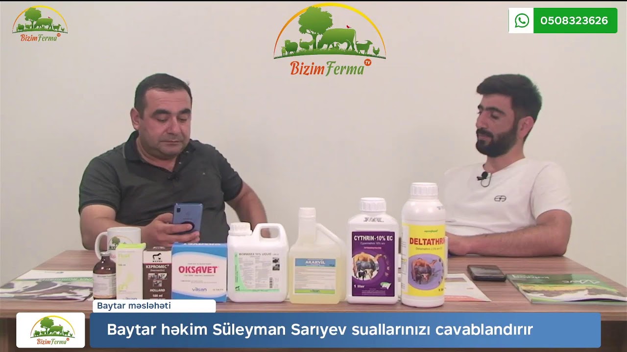 Buzovlarda (ishal) qarın ağrısı