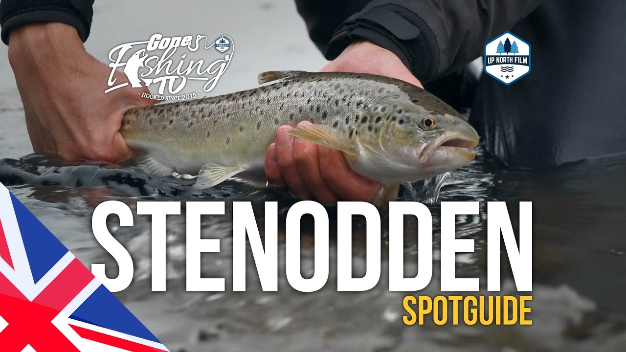 Spotguide: Stenodden Tåsinge // GFTV