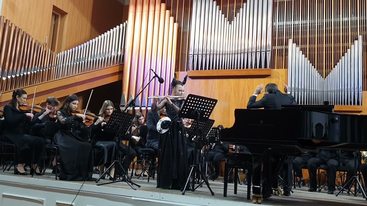 #flute #mozart  #DieZauberflöte #Zauberflöte #magicflute 