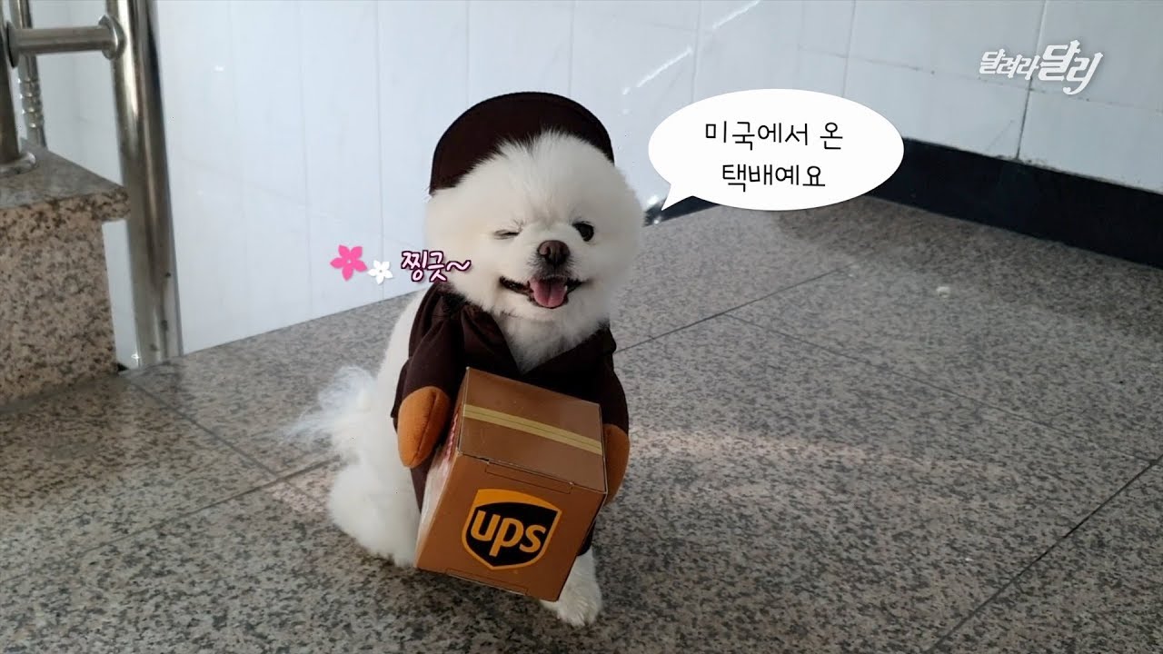 경사났네~ 🎉실버 버튼 언박싱과 기념 파티!